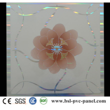 600X600mm PVC Ceiling Panel (BSL-608)